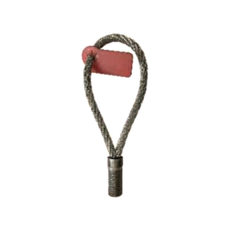 WS05 Anello di sollevamento con filettatura RD