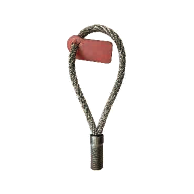 Anello di sollevamento con filettatura M WS06